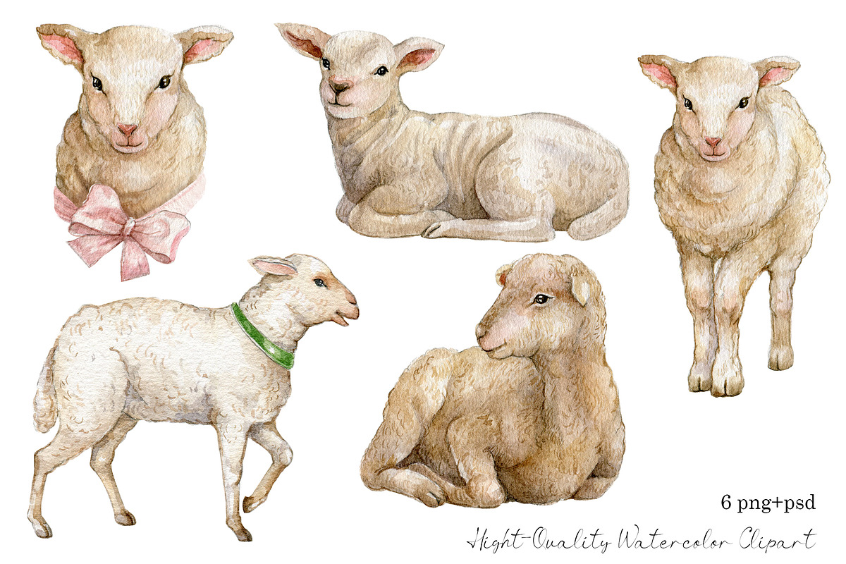 Watercolor lamb, sheep clipart, an Animal Illustration by yana.fefelova (Photo 2 of 4)