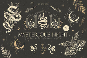 120 Mysterious Night