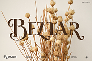 Renigma, a Serif Font by Aluyeah Studio (Thumbnail 9 of 15)