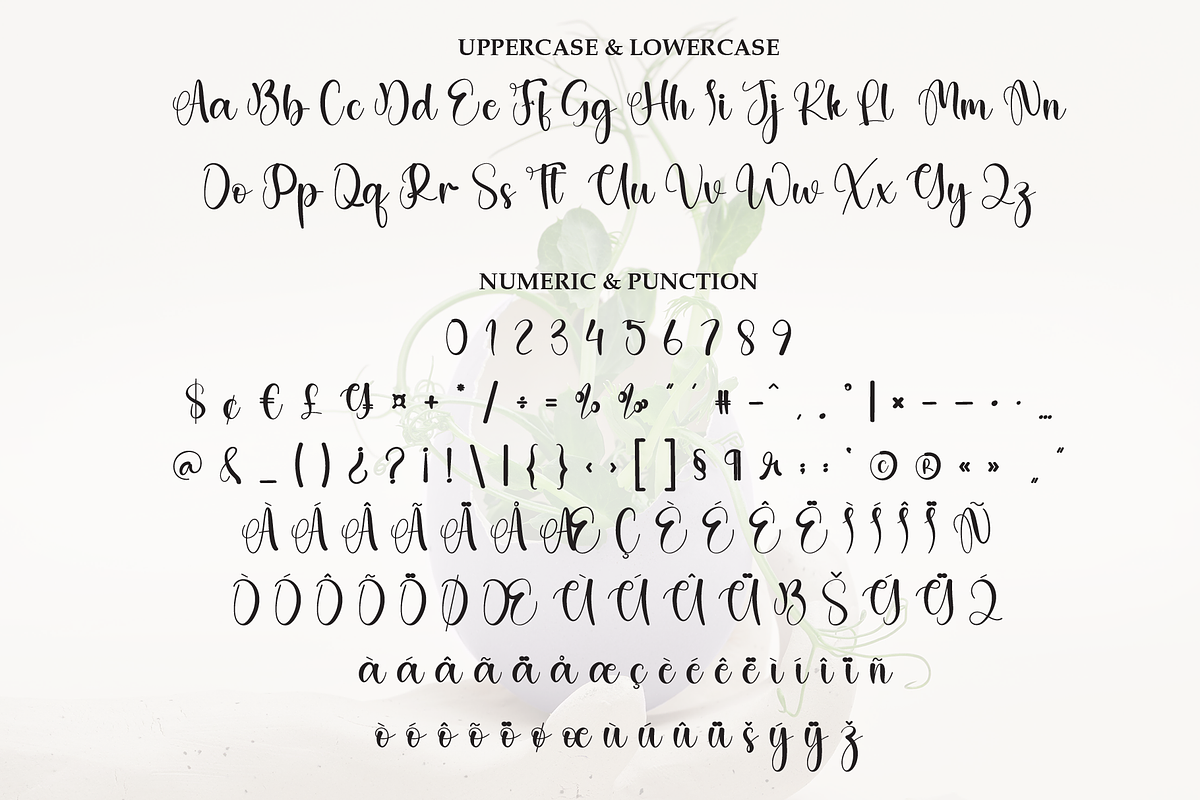 Belive | Script Font, a Handwritten Font by Scratchones (Photo 7 of 9)
