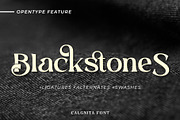 Calgnita | Modern Classic Serif, a Serif Font by Andrimada Creative (Thumbnail 9 of 11)