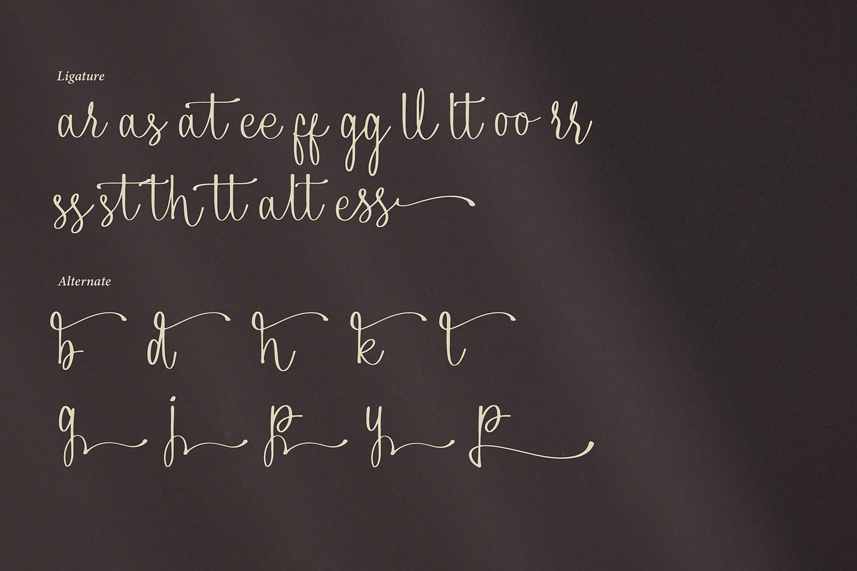 Alphiness | Handwritten Script Font, a Script Font by Denustudios (Photo 15 of 15)