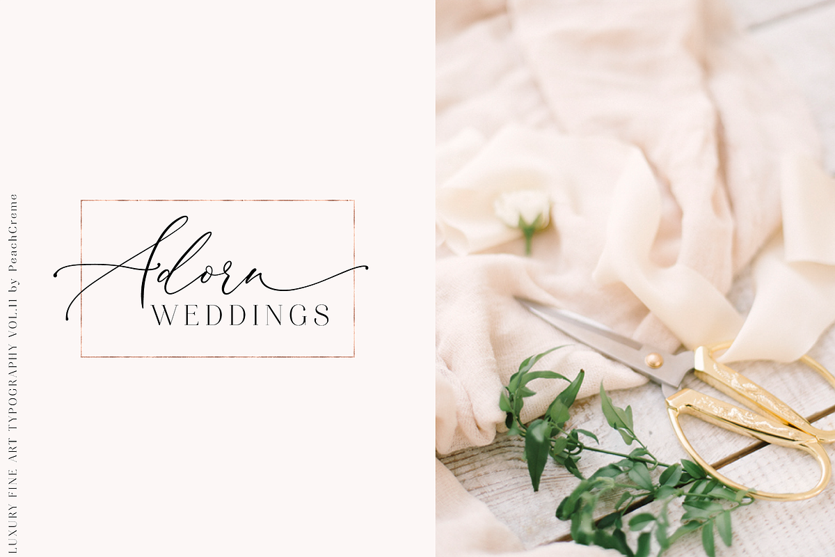 Darling Modern // Luxury Font, a Script Font by PeachCreme (Photo 9 of 29)