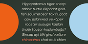 Meguro Sans, a Sans Serif Font by GT&CANARY (Thumbnail 2 of 12)