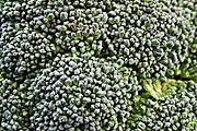 Broccoli, a Texture Graphic by MHLY (Thumbnail 1 of 2)