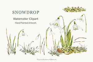 Snowdrop Watercolor Clipart Set