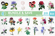 Flowers Aster Purple Clipart Vintage, an Illustration by Enliven Designs (Thumbnail 2 of 9)