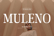 Muleno Slab Serif Font, a Serif Font by Storytype Studio (Thumbnail 1 of 15)