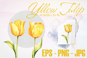 Watercolor Yellow Tulip Vector Set, a Decorative Illustration by Deckar_art (Thumbnail 2 of 4)