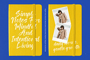 Tomato Balance Modern Handwritten, a Script Font by stylishtype.co (Thumbnail 4 of 20)