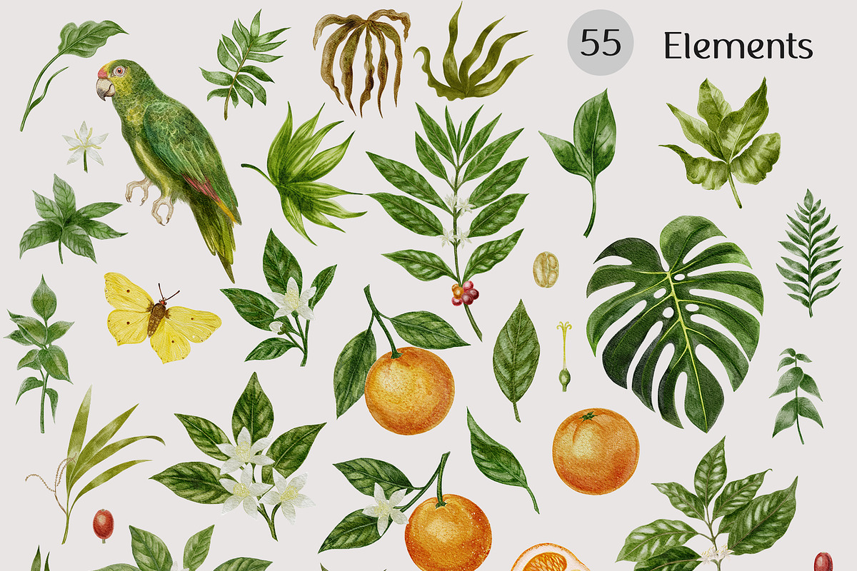Botanical Watercolor Collection, a Pattern Graphic by mila_leev (Photo 2 of 13)