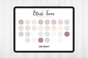 Blush Tones Procreate Color Palette, a Palette Add-On by Cate Shaner (Thumbnail 1 of 3)
