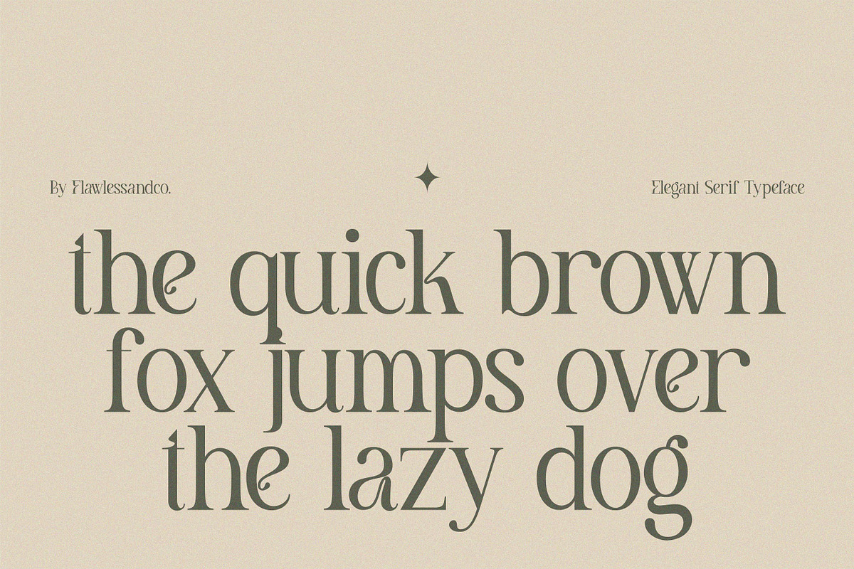 Meghan, a Serif Font by Flawless And Co (Photo 8 of 9)