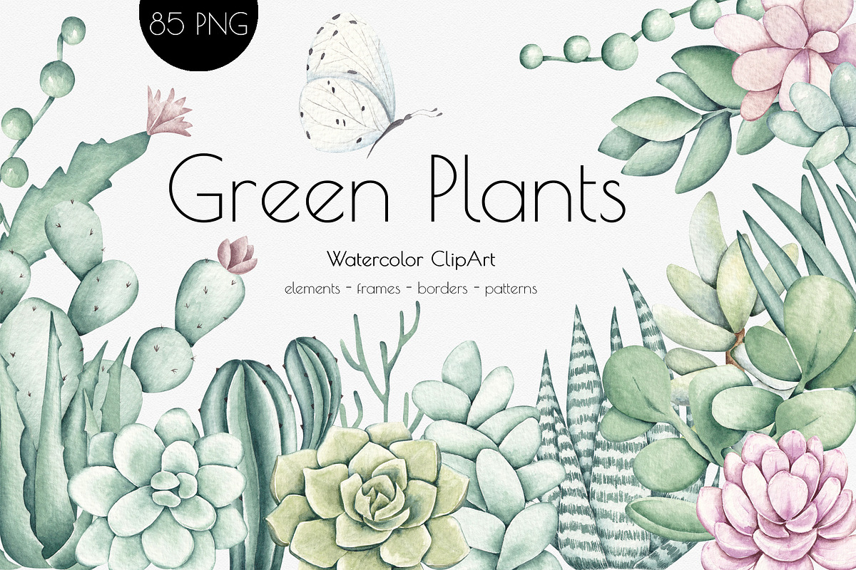 Watercolor ClipArt Green Plants, an Illustration by SirenaArt (Photo 1 of 20)