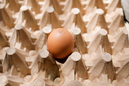 Fresh organic panel eggs on sackclot, a Food & Drink Photo by bastera