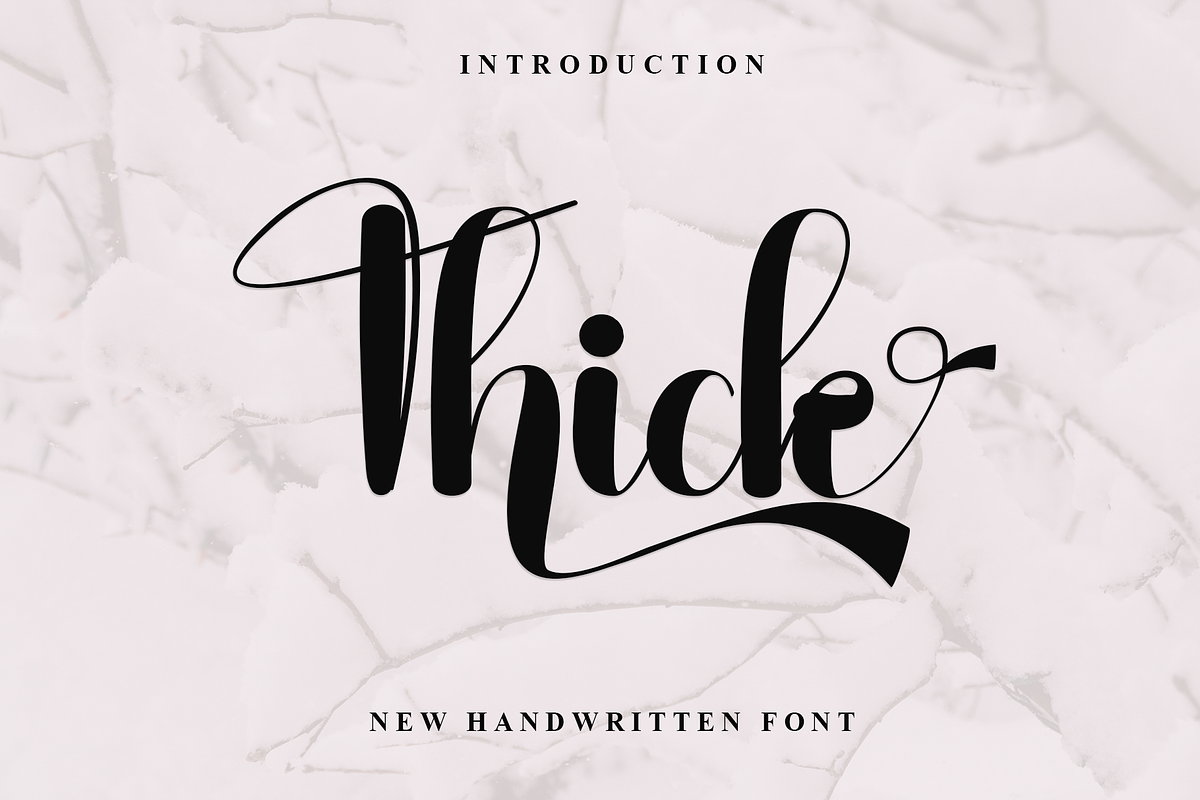 Thick, a Script Font by FreshTypeINK (Photo 1 of 8)
