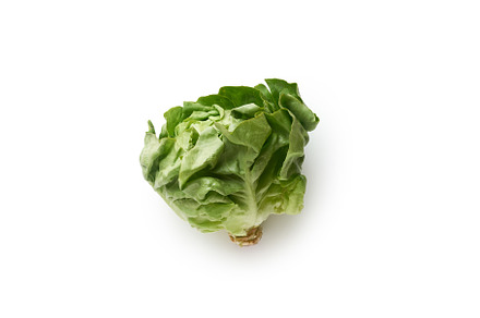 Green lettuce isolated, a Food & Drink Photo by Asya Nurullina