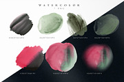 WATERCOLOR BUNDLE Peonies & Roses, an Illustration by ollalya (Thumbnail 100 of 101)