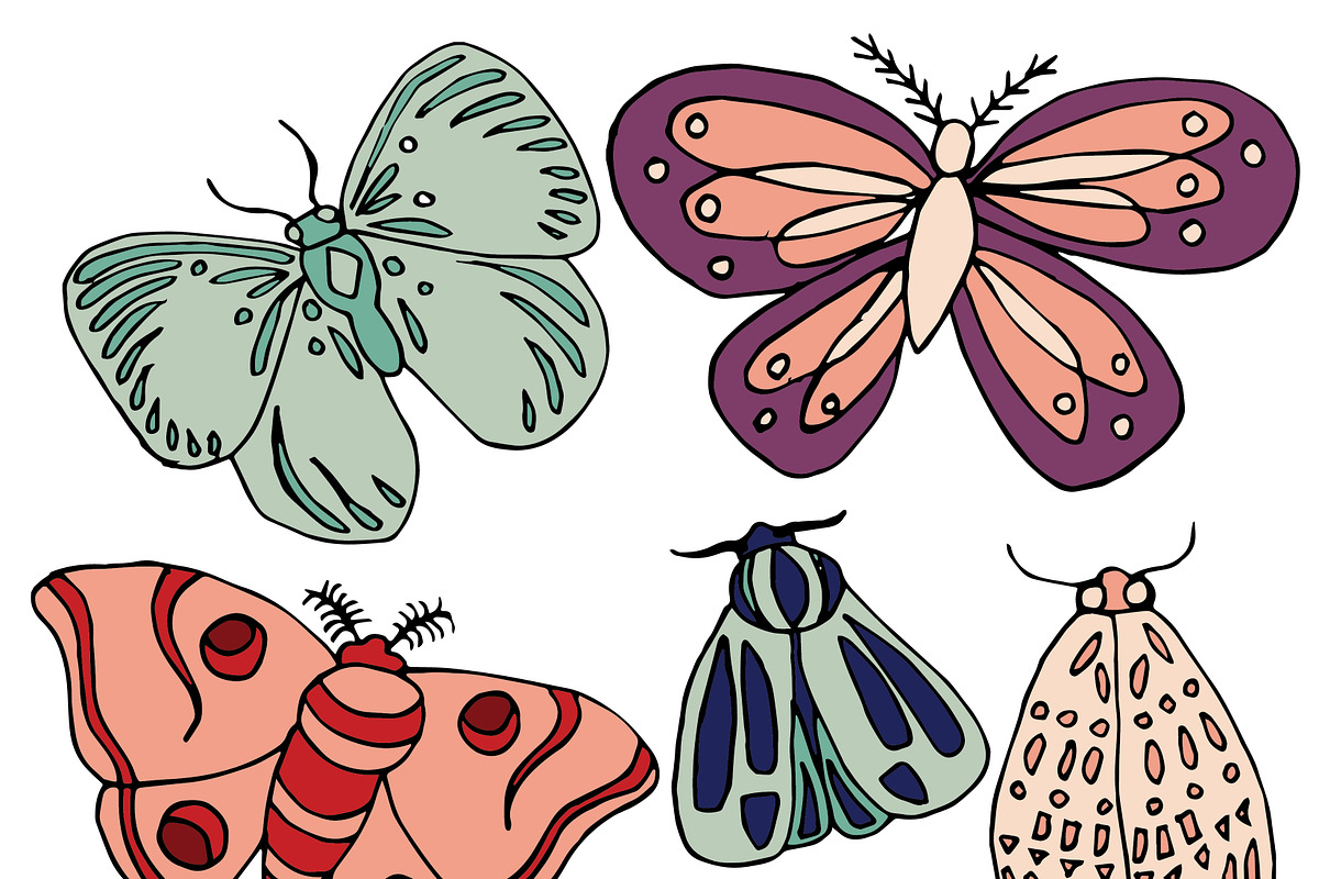 Insects, an Illustration by Valeri Nick (Photo 4 of 5)