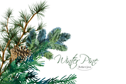 Pine Branches & Wreaths, an Illustration by Feather Grace Designs (Thumbnail 2 of 13)