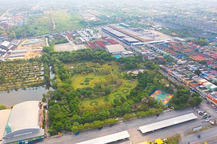 Aerial top view of trees in Lumpini park garden. Green eco area, a Background Photo by Tampatra
