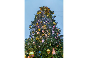 Christmas tree on Sophia Square in, a Holiday Photo by Leonid Andronov
