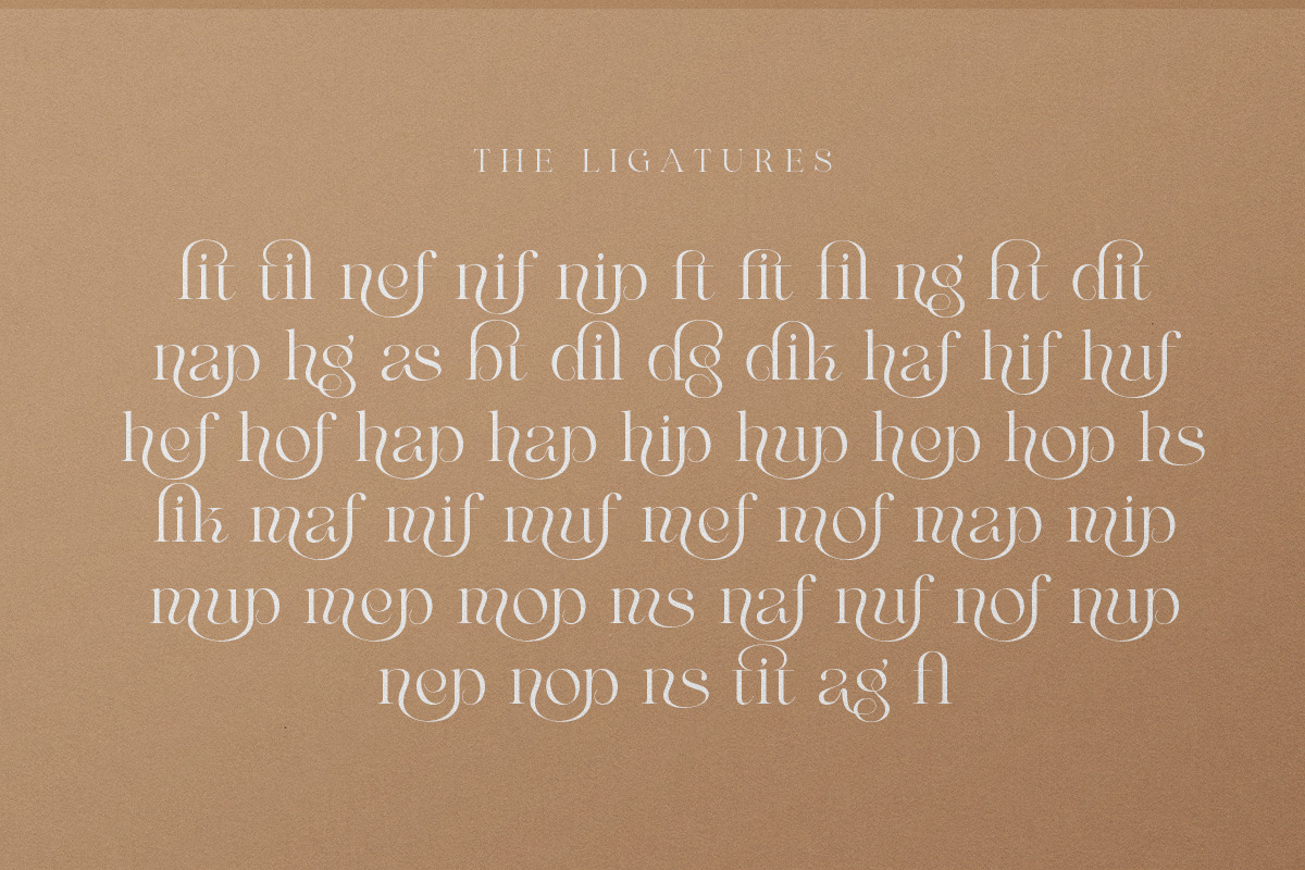 Maglite - Modern Ligature Serif, a Serif Font by Sarid Ezra (Photo 7 of 13)