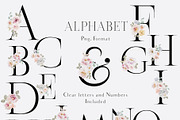 Watercolor Spring Flowers Collection, a Decorative Illustration by Grace Noboa Illustrations (Thumbnail 3 of 10)