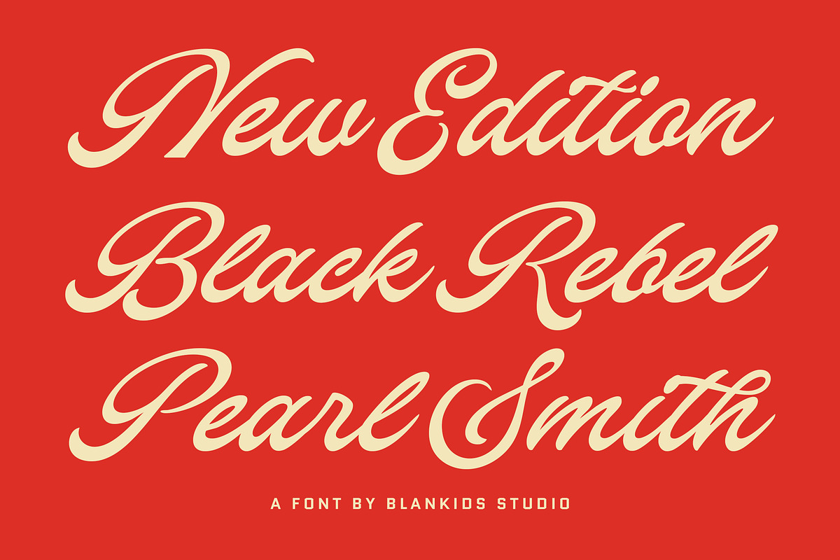 Heldies – Retro Vintage Script Font, a Script Font by Blankids Studio (Photo 4 of 12)