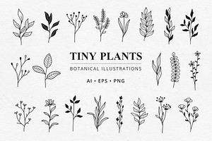 Tiny Plants And Flowers Clipart