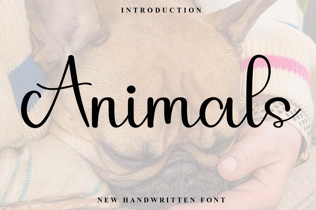 Animals, a Handwritten Font by FreshTypeINK (Photo 1 of 8)
