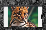 Cleopatra - Gallery Tumblr Theme, a Websites & App Template by Stash (Thumbnail 3 of 5)