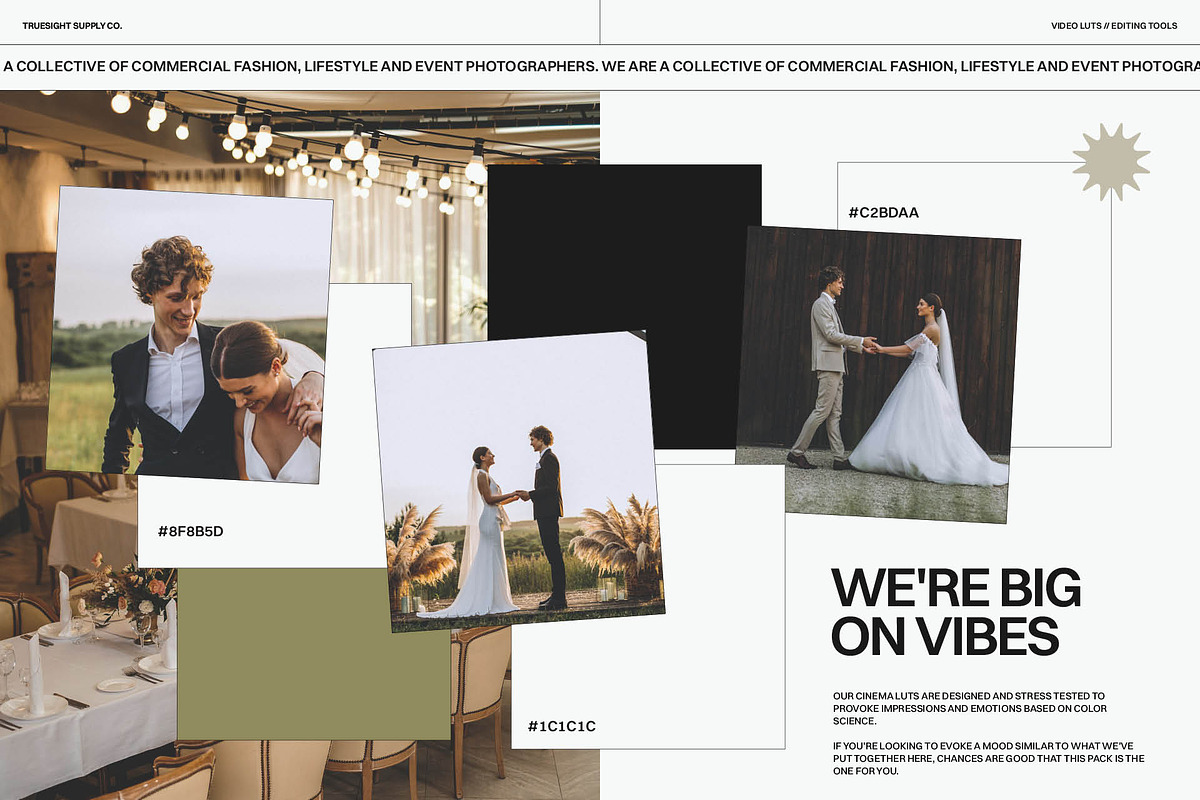 Western Wedding - Video LUTs, a Brushes & More by Truesight Supply Co. (Photo 3 of 6)
