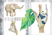 Watercolor animals, leafs, birds, an Animal Illustration by Watercolor arts (Thumbnail 5 of 6)