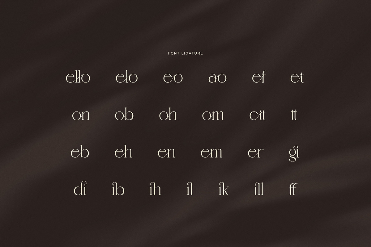 Mellodi Rettron Modern Serif Font, a Serif Font by Graphicxell (Photo 8 of 8)
