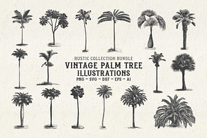 Vintage Palm Tree Vector Bundle