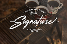Rotters - Handbrush Font