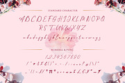 Themollina, a Script Font by kerismaker (Thumbnail 3 of 12)