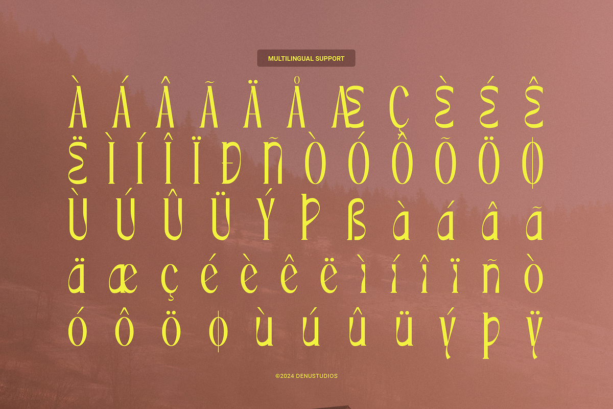 Minyanot | Modern Display Serif, a Serif Font by Denustudios (Photo 13 of 13)