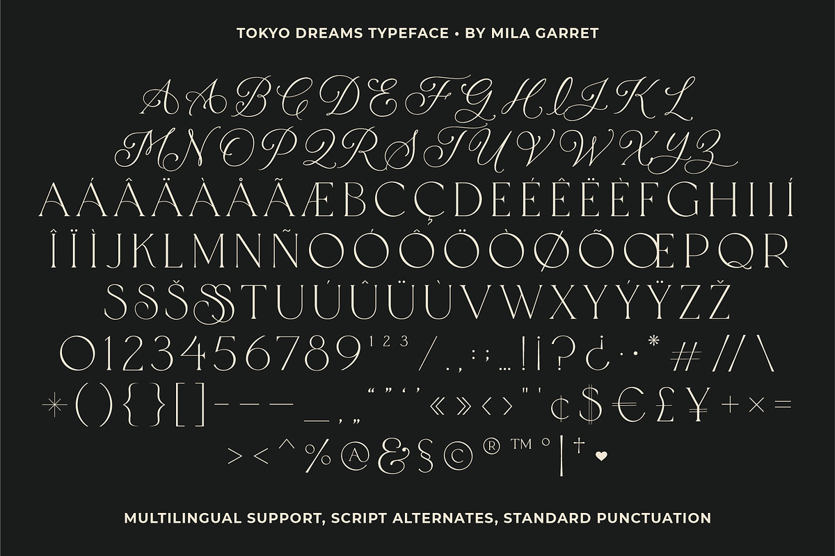 Tokyo Dreams Display Ligature Serif, a Serif Font by Mila Garret (Photo 25 of 28)