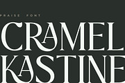 Praise Elegant Stylish Font, a Serif Font by Typebae (Thumbnail 6 of 12)