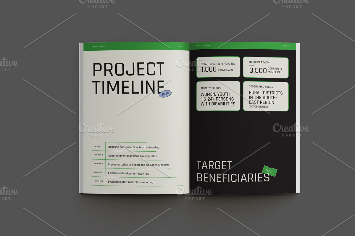 NGO Project Proposal preview 6