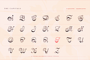 Stradivelle - Script Font, a Script Font by Lilithcollageart (Thumbnail 7 of 10)