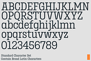 Birdwood; Condensed Slab Serif, a Slab Serif Font by Eko Bimantara (Thumbnail 8 of 13)