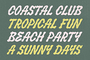 Salty Smile an Unique Display Font, a Handwritten Font by Blankids Studio (Thumbnail 2 of 10)