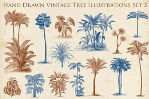 Hand Drawn Vintage Exotic Tree Set 2