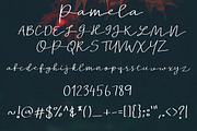 New! Pamela | Script Font, a Script Font by Artstudio (Thumbnail 6 of 7)