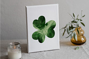 10 Shamrocks and a Seamless Pattern, an Object Illustration by Helga Wigandt (Thumbnail 5 of 6)
