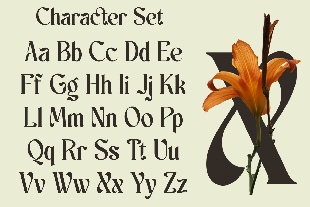 Scales - Aesthetic Ligatures Serif, a Serif Font by Say Studio (Photo 11 of 13)