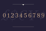 JT Symington, a Serif Font by JAM Type (Thumbnail 2 of 13)